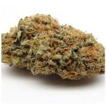 Шишки AK47 (Гидропоника, Бошка) VHQ в Биробиджане Шишки AK47 (Гидропоника, Бошка) VHQ в Биробиджане